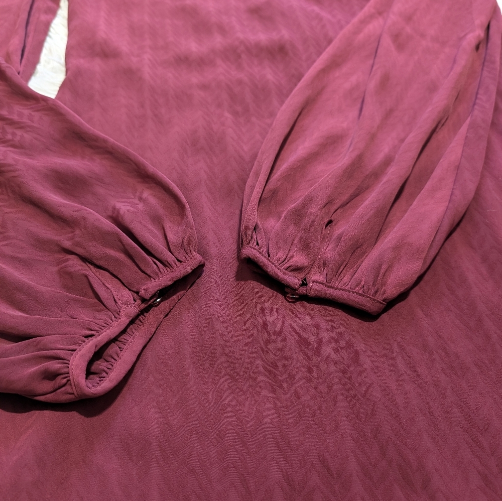 NWT Dance & Marvel Maroon Plunge Neck Vampire Goth Balloon Sleeve Dress Small - Picture 4 of 12